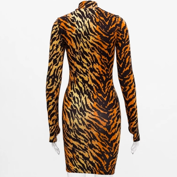 "Nala" 🐅 - Picture 2 of 7